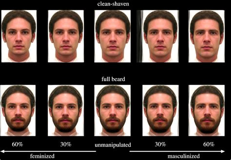 Attractive Scale Chart Dissecting The 1 10 Attractiveness Scale