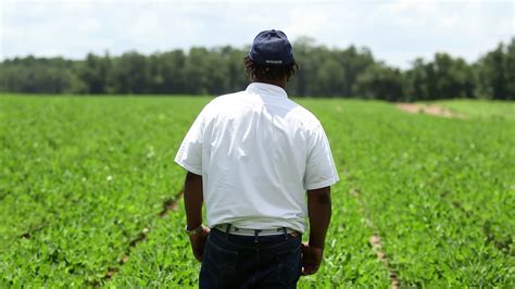 Watch Today Excerpt Many Black American Farmers Face A Difficult Hurdle Proof Of Land