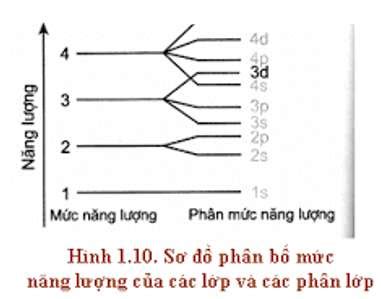 C U H Nh Electron C A Nguy N T Bi U Di N