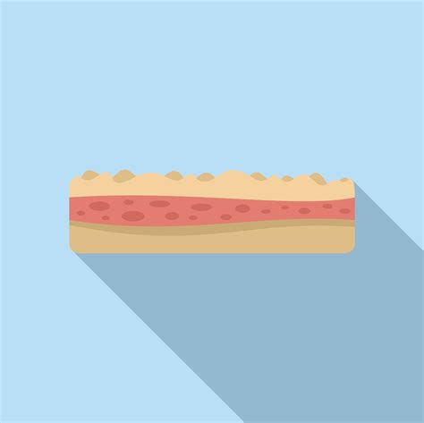 Skin Layers Diagram 1