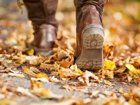 Britains Best Autumn Walks Saga