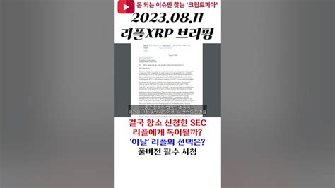 리플xrp 결국 항소 신청한 Sec 리플에게 독이될까 이날 리플의 선택은 Shrots 리플 리플소송 Youtube