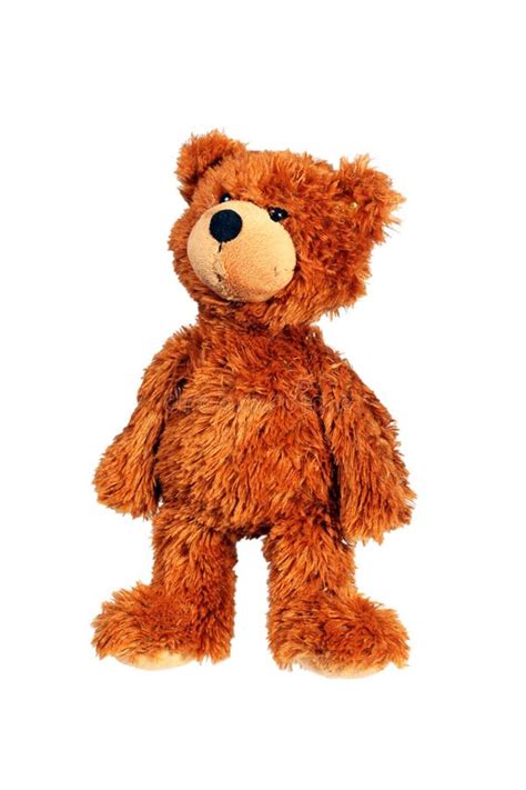 Urso Da Peluche Imagem De Stock Imagem De Pelaria Nariz