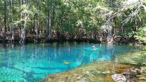 Travels and Trials of RV Life: Manatee Springs State Park