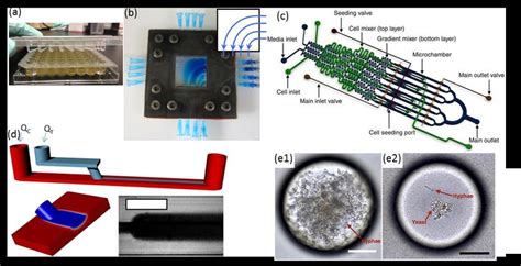 A Conventional Calgary Device B Microfluidic Planar Flow Cell With