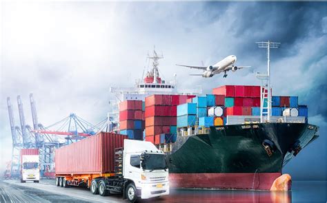 import export amber courier