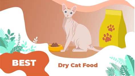 The 10 Best Dry Cat Foods - LOL Cats