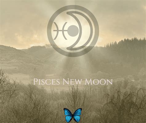 The Pisces New Moon All Together Now Life By Soul