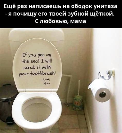 Картинки В Туалет Прикольные из архива, смотрите бесплатно лучшее фото