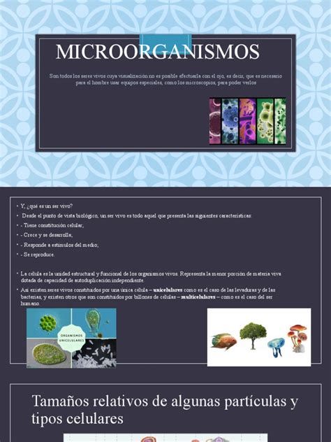 Microorganism Os Pdf Alimentos Microorganismo