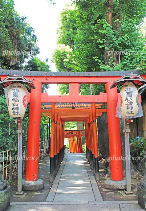 花園稲荷神社 上野 写真素材 5609006 フォトライブラリー Photolibrary