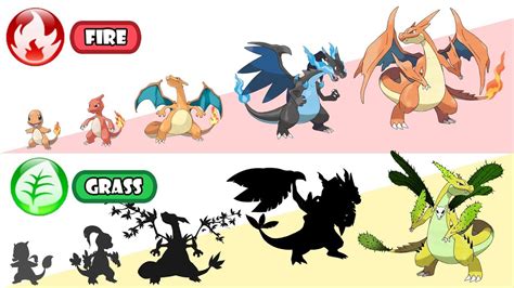 Charizard Mega Evolution Y