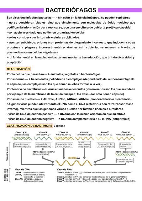 Bacteri Fagos Biotech Sg Sof A Gagliardi Udocz