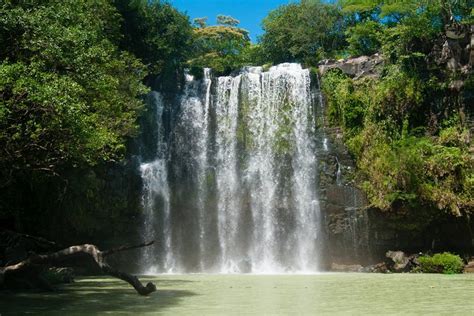 Private Tour Llanos Del Cortez Waterfall Rainforest Sloths Watching