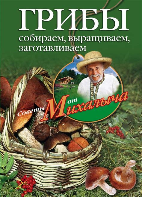 Цифровая книга "Грибы. Собираем, выращиваем, заготавливаем" – купить ...