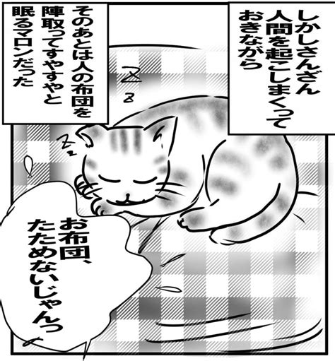 【ねこ漫画】真夏のホラーキャット2023 【ねこ漫画】マロンと愉快な仲間たち