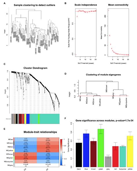 Figure 4 From Identification Of KIAA0513 And Other Hub Genes Associated