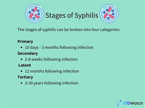 Syphilis Everything You Need To Know