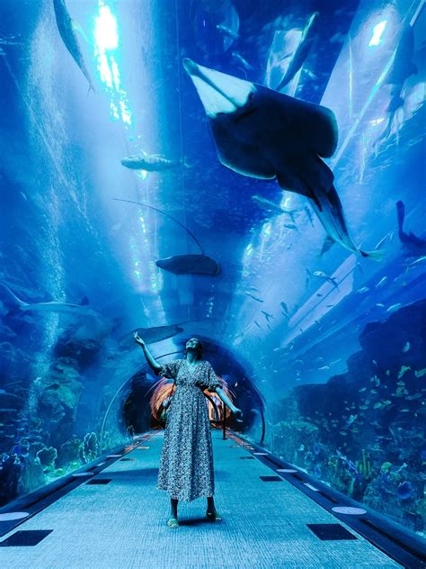 Visiting the Dubai Aquarium: Tickets & Tips