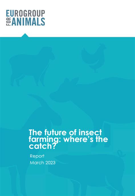 The future of insect farming: where’s the catch? | Eurogroup for Animals