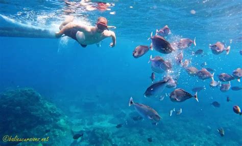 The Best Of Nusa Penida Snorkeling Island Hopping Tour