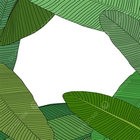 Banana Leaf Clipart PNG Images Green Banana Leaf Stack Background