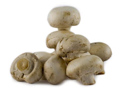 White Button Mushrooms – The Fresh Supply Company