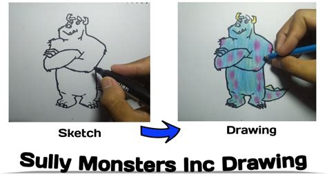 How To Draw Sully From Monsters Inc Tutorial Gambar Sully Di Film