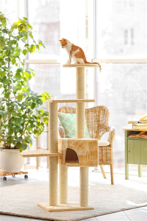 Premium Photo | Cute funny cat and tree in room