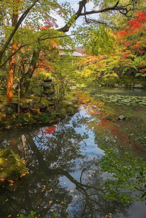 Autumn Landscape in Kyoto Park, Japan Stock Photo - Image of traditional, tree: 165380266