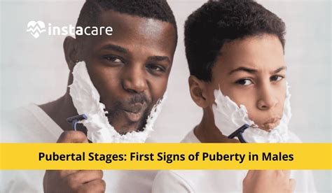 Pubertal Stages First Signs Of Puberty In Males