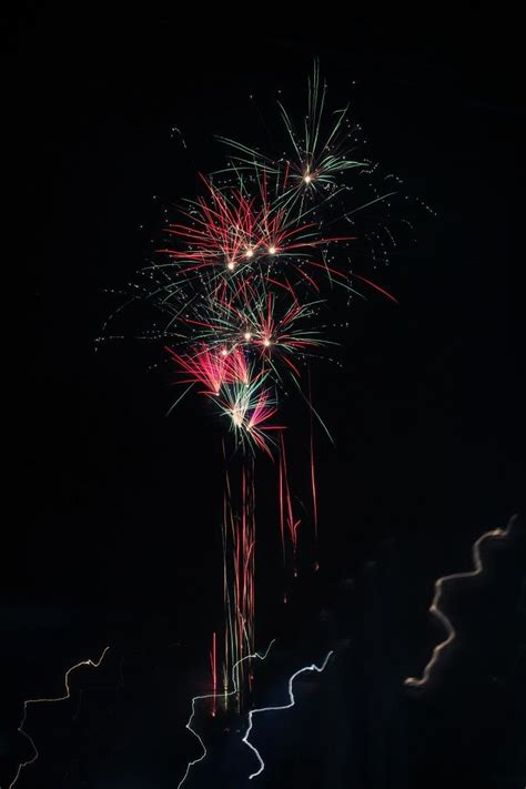 Dandelion Neon Signs Flowers Plants Fireworks Dandelions Plant