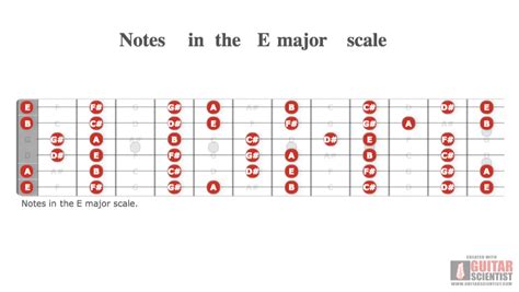 Guitar Scientist The Most Powerful Guitar Diagrams Editor Online