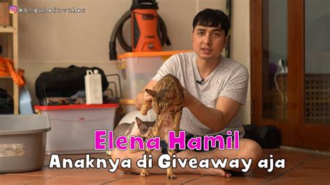 ELENA SI KUCING BENGAL KABUR DAN KEBOBOLAN YouTube