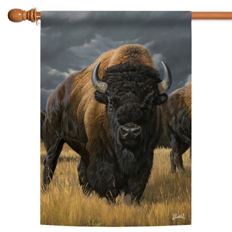Black and Brown Where the Buffalo Roam Outdoor House Flag 40" x 28