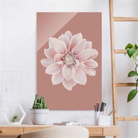 Dahlie Beigerot Rosa Glasbild Im Hochformat Bilderwelten