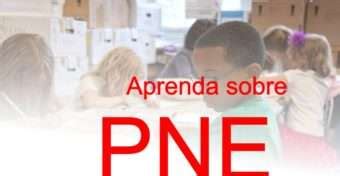 Entenda O Que Pne Plano Nacional De Educa O