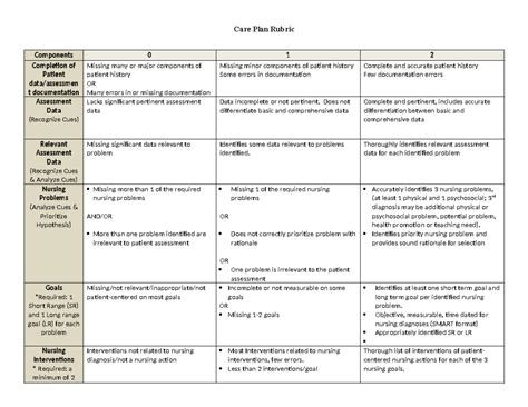 Care Plan Rubric Care Plan Care Plan Rubric Components 0 1 2