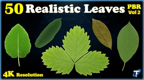 T World 50 Realistic Leaves Pbr Textures Mega Bundle Vol 2