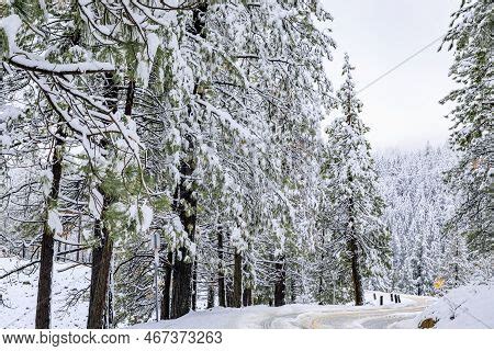 Road Snow Northern Image & Photo (Free Trial) | Bigstock