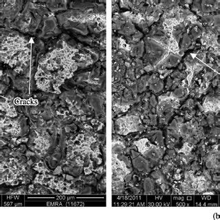 High Magnification SEM Micrographs For The Corroded Surfaces Of Al SiC