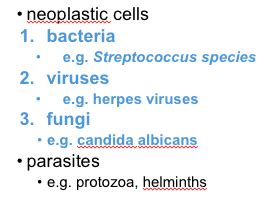 Bp Selective Toxicity Flashcards Quizlet