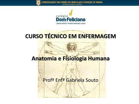 Pdf Curso T Cnico Em Enfermagem Anatomia E Fisiologia