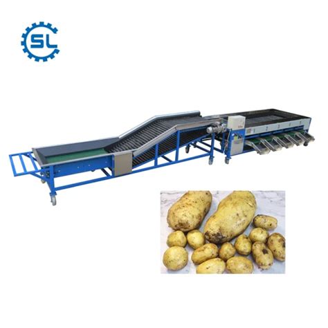 Levels For Potato Classification Sweet Potato Grading Sorting Machine