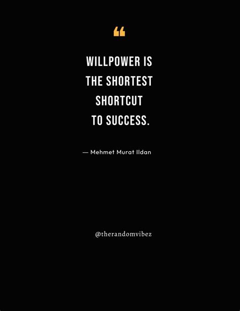 80 Willpower Quotes On Mental Strength & Determination – The Random Vibez