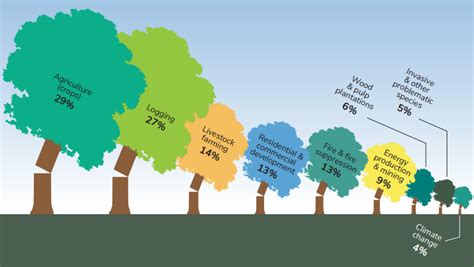 Why We Should Plant And Protect Our Trees Briza Publications