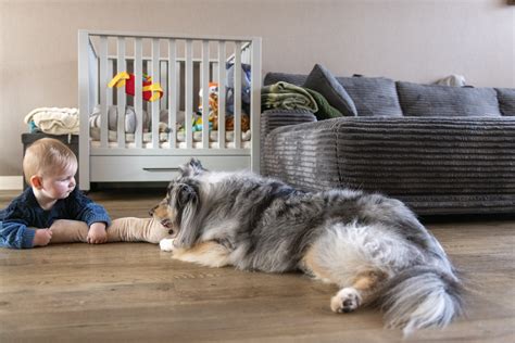 Top Floors for Children and Pets