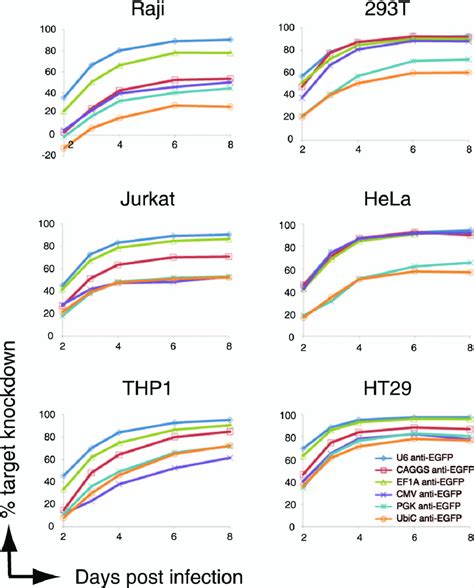 Efficacy of shRNA-miRs-guided target knockdown in various cell lines is ...