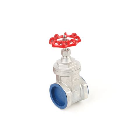 200wog Ansi Stainless Steel 304 Female Threaded Gate Valve China Stainless Steel Gate Valve