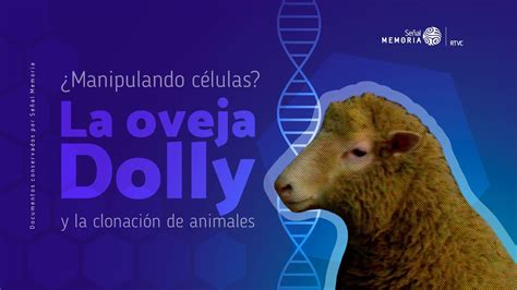 La Oveja Dolly Y La Clonaci N De Humanos Youtube